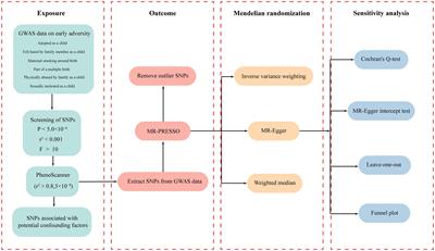 The impact of early adversity on the cerebral cortex - a Mendelian randomization study